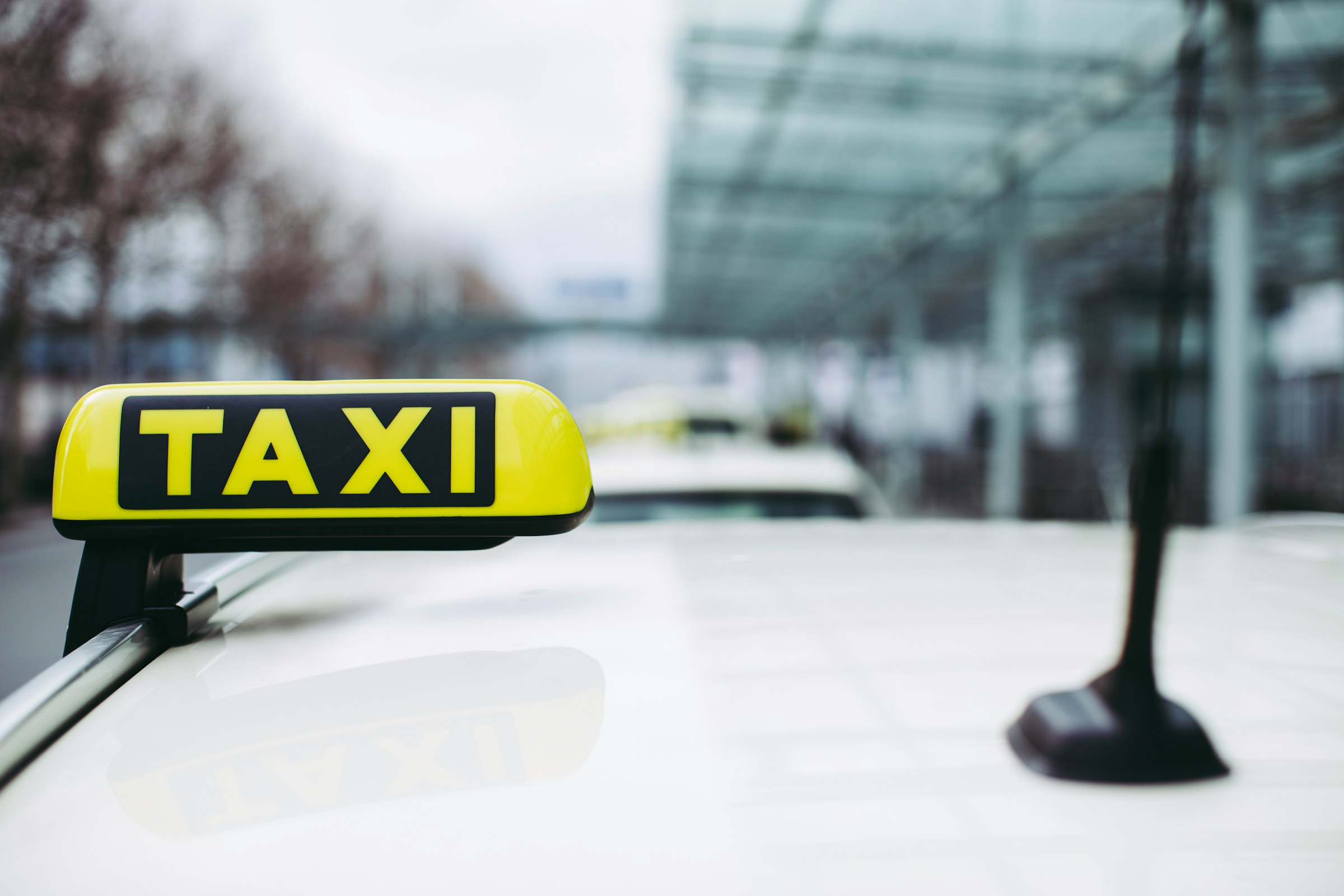 Taxista para traslado de personas con mascotas en Torrevieja. Vehículo adaptado y cómodo para llevar a tu compañero peludo de manera segura (pet-friendly)
